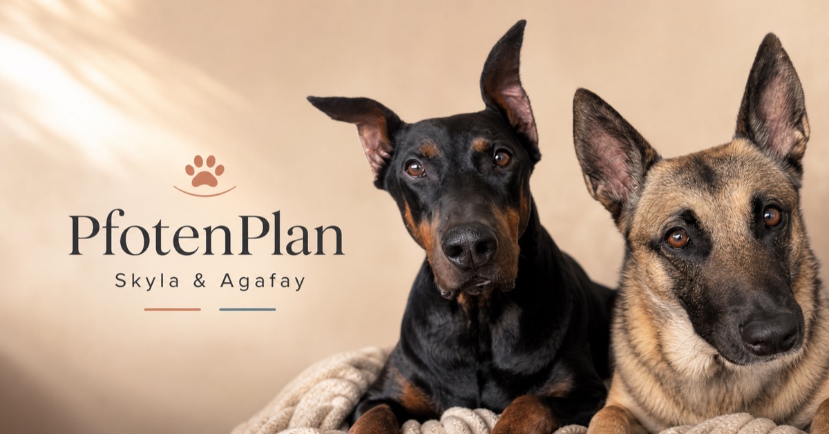 Pfotenplan mit Skyla und Agafay